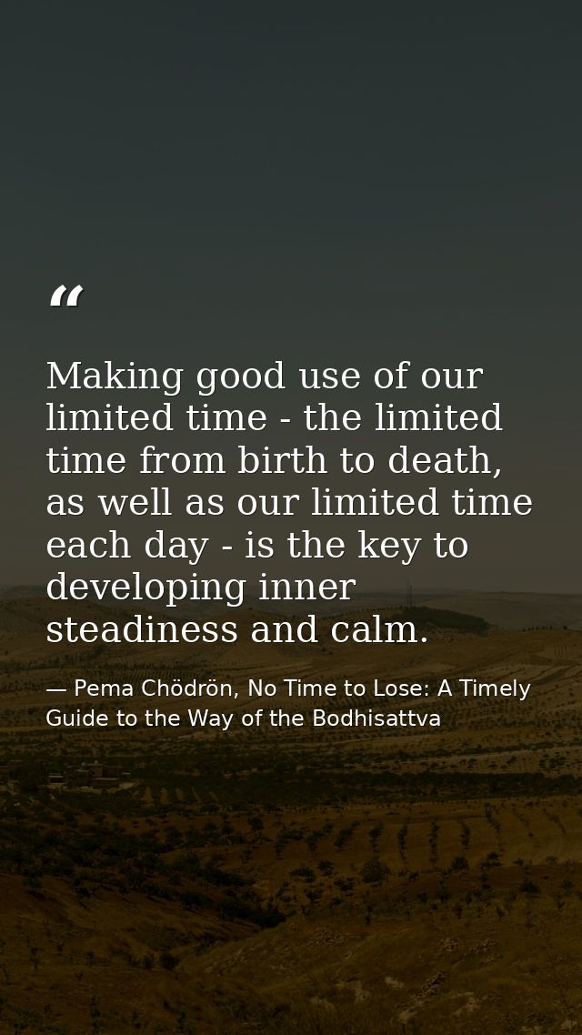 Making good use of our limited time - the limited time from birth to death, as well as our limited time each day - is th — Pema Chödrön, No Time to Lose: A Timely Guide to the Way of the Bodhisattva