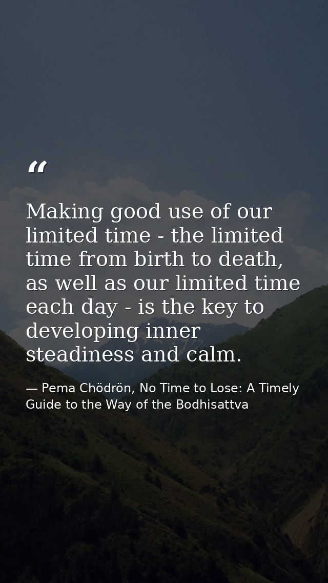 Making good use of our limited time - the limited time from birth to death, as well as our limited time each day - is th — Pema Chödrön, No Time to Lose: A Timely Guide to the Way of the Bodhisattva