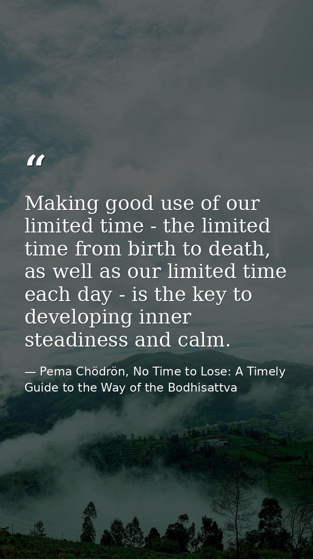 Making good use of our limited time - the limited time from birth to death, as well as our limited time each day - is th — Pema Chödrön, No Time to Lose: A Timely Guide to the Way of the Bodhisattva