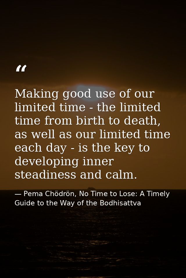 Making good use of our limited time - the limited time from birth to death, as well as our limited time each day - is th — Pema Chödrön, No Time to Lose: A Timely Guide to the Way of the Bodhisattva