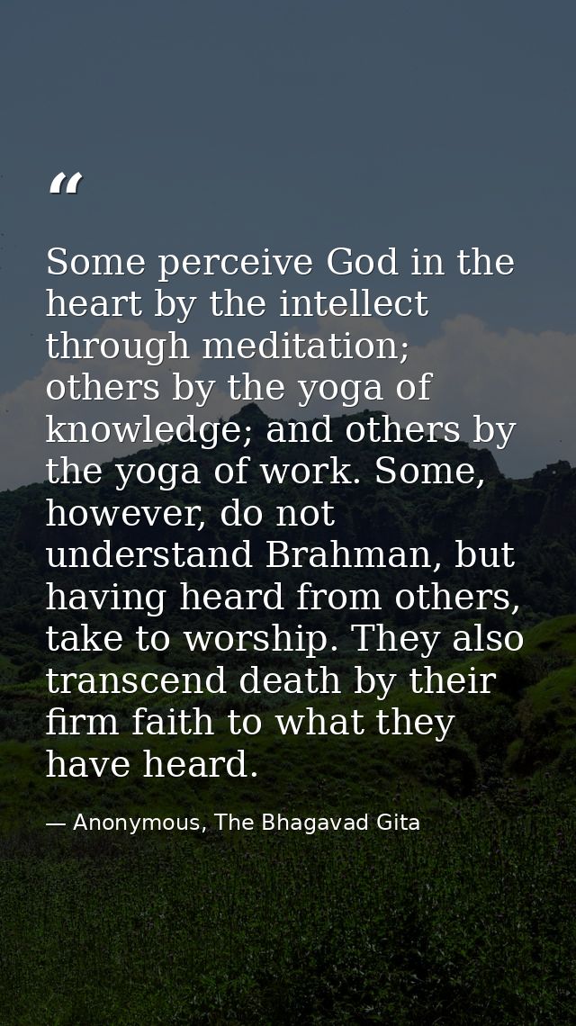 Some perceive God in the heart by the intellect through meditation; others by the yoga of knowledge; and others by the y — Anonymous, The Bhagavad Gita