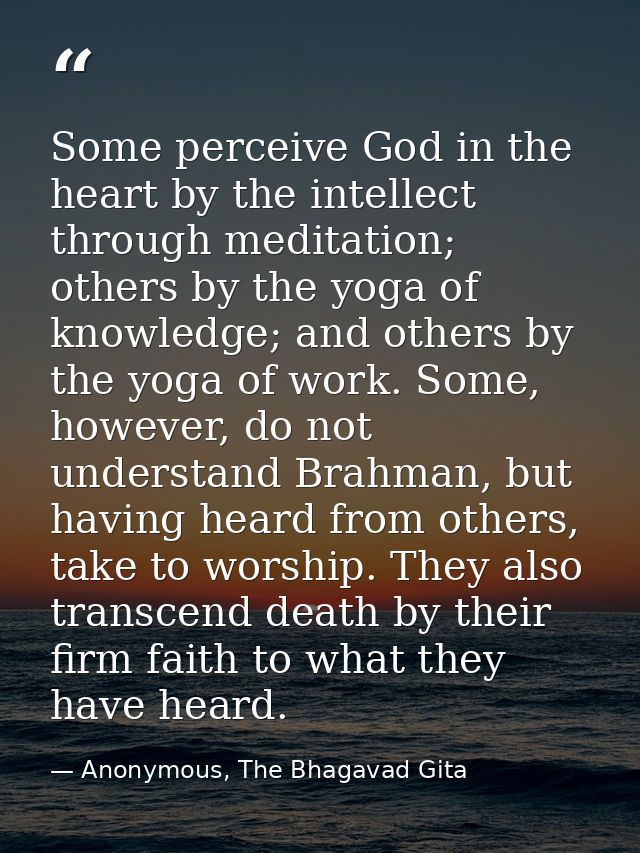 Some perceive God in the heart by the intellect through meditation; others by the yoga of knowledge; and others by the y — Anonymous, The Bhagavad Gita