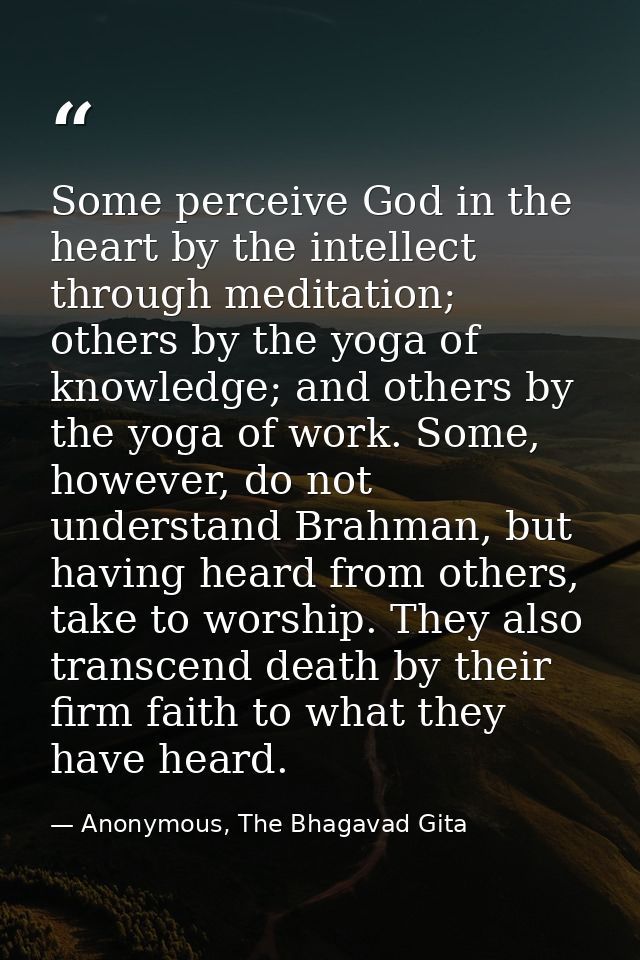 Some perceive God in the heart by the intellect through meditation; others by the yoga of knowledge; and others by the y — Anonymous, The Bhagavad Gita