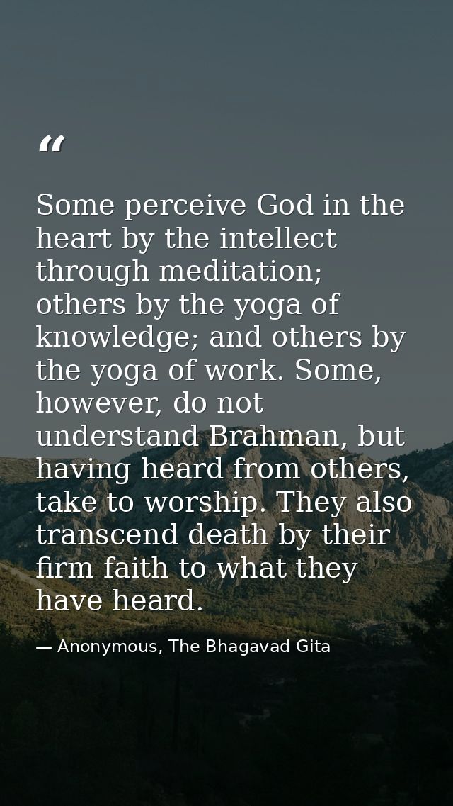 Some perceive God in the heart by the intellect through meditation; others by the yoga of knowledge; and others by the y — Anonymous, The Bhagavad Gita