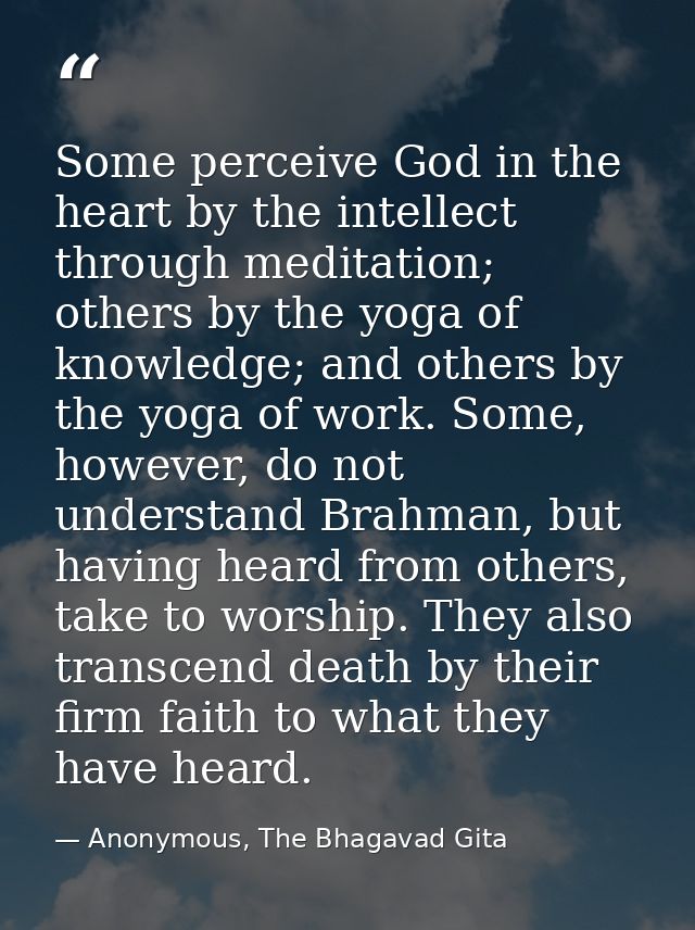 Some perceive God in the heart by the intellect through meditation; others by the yoga of knowledge; and others by the y — Anonymous, The Bhagavad Gita