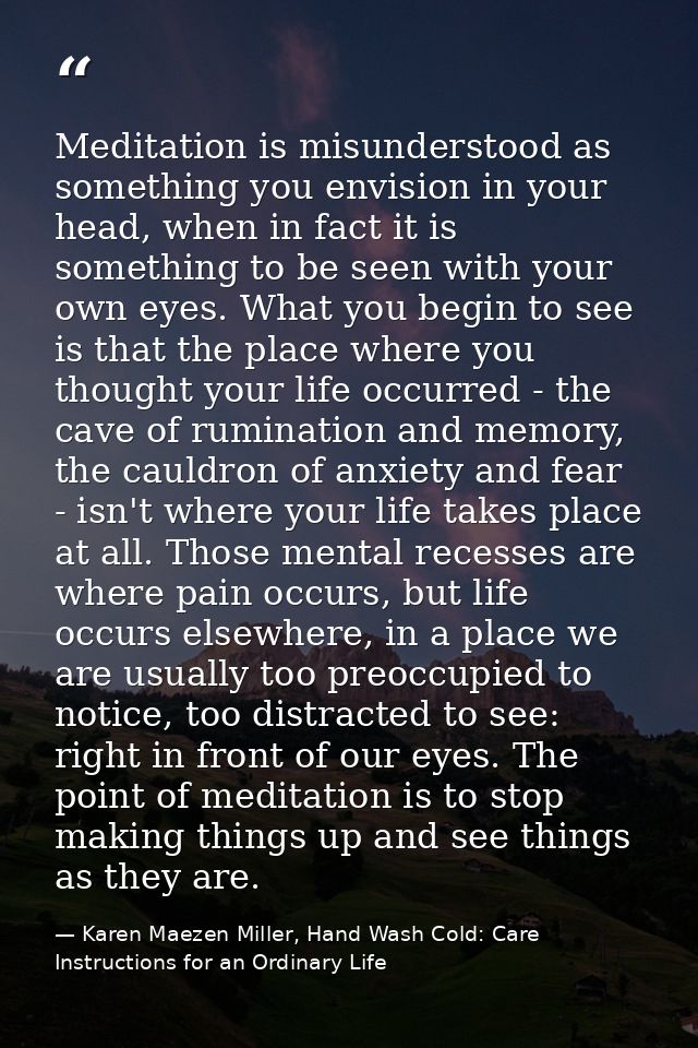 Meditation is misunderstood as something you envision in your head, when in fact it is something to be seen with your ow — Karen Maezen Miller, Hand Wash Cold: Care Instructions for an Ordinary Life