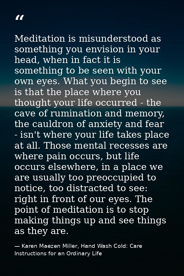 Meditation is misunderstood as something you envision in your head, when in fact it is something to be seen with your ow — Karen Maezen Miller, Hand Wash Cold: Care Instructions for an Ordinary Life