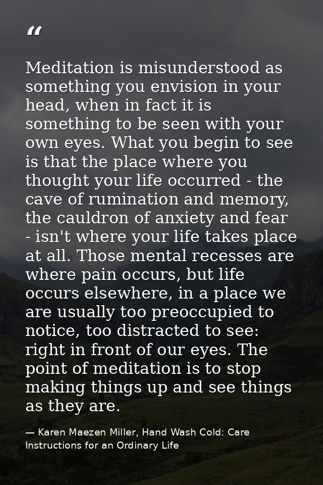 Meditation is misunderstood as something you envision in your head, when in fact it is something to be seen with your ow — Karen Maezen Miller, Hand Wash Cold: Care Instructions for an Ordinary Life