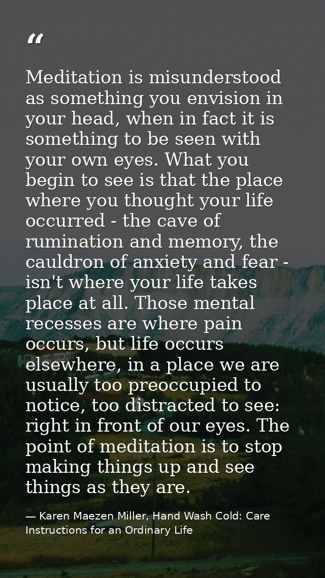 Meditation is misunderstood as something you envision in your head, when in fact it is something to be seen with your ow — Karen Maezen Miller, Hand Wash Cold: Care Instructions for an Ordinary Life
