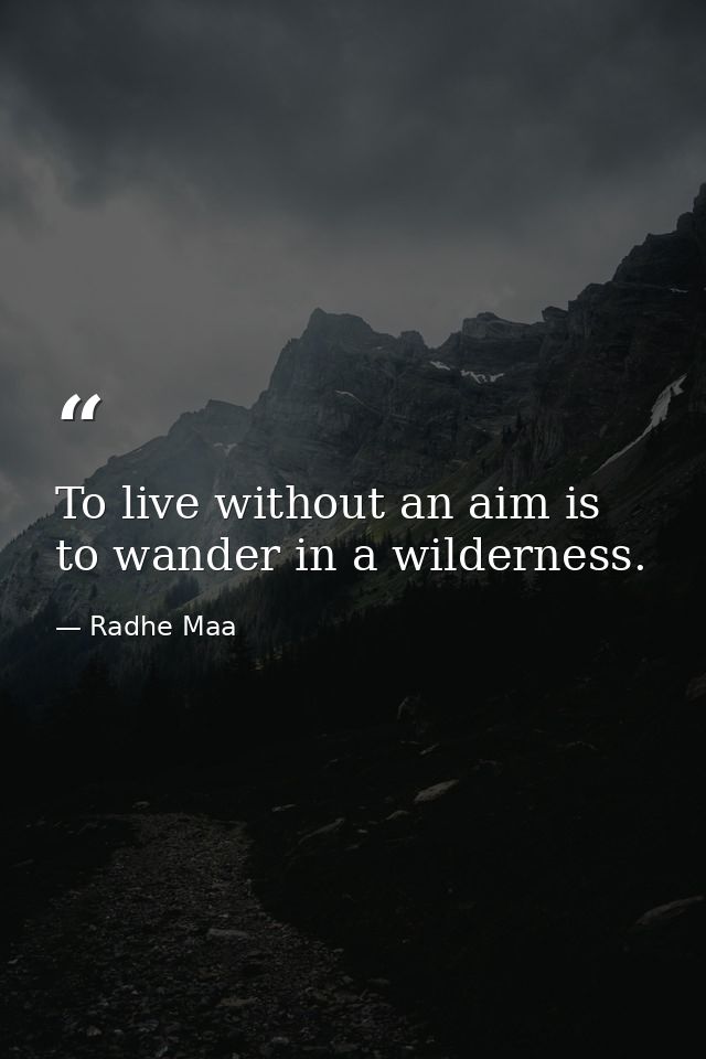 To live without an aim is to wander in a wilderness. — Radhe Maa