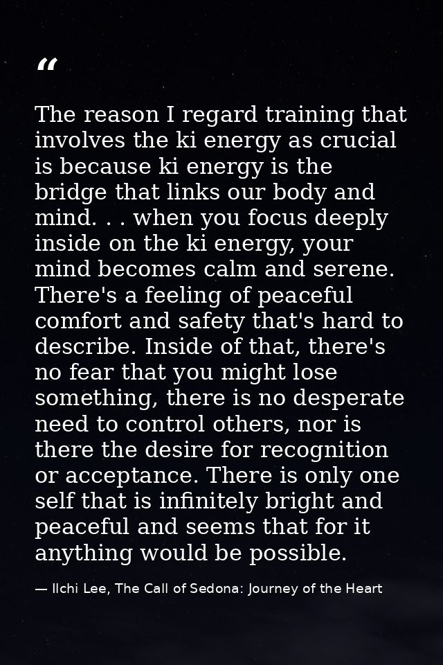The reason I regard training that involves the ki energy as crucial is because ki energy is the bridge that links our bo — Ilchi Lee, The Call of Sedona: Journey of the Heart
