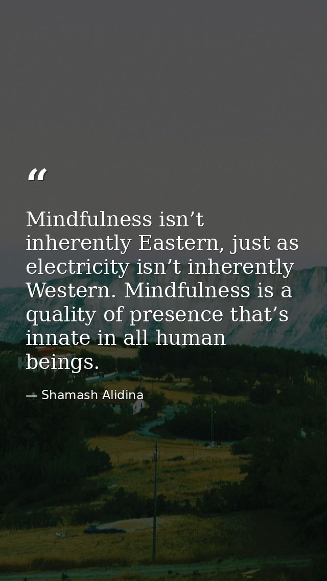 Mindfulness isn’t inherently Eastern, just as electricity isn’t inherently Western. Mindfulness is a quality of presence — Shamash Alidina