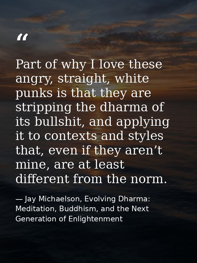 Part of why I love these angry, straight, white punks is that they are stripping the dharma of its bullshit, and applyin — Jay Michaelson, Evolving Dharma: Meditation, Buddhism, and the Next Generation of Enlightenment