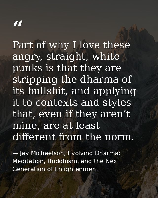 Part of why I love these angry, straight, white punks is that they are stripping the dharma of its bullshit, and applyin — Jay Michaelson, Evolving Dharma: Meditation, Buddhism, and the Next Generation of Enlightenment