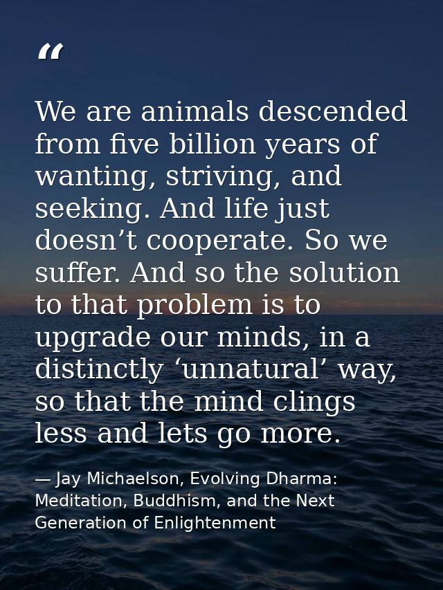 We are animals descended from five billion years of wanting, striving, and seeking. And life just doesn’t cooperate. So  — Jay Michaelson, Evolving Dharma: Meditation, Buddhism, and the Next Generation of Enlightenment