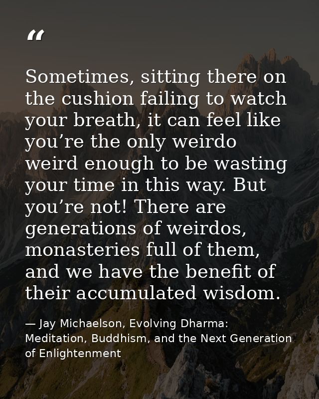 Sometimes, sitting there on the cushion failing to watch your breath, it can feel like you’re the only weirdo weird enou — Jay Michaelson, Evolving Dharma: Meditation, Buddhism, and the Next Generation of Enlightenment