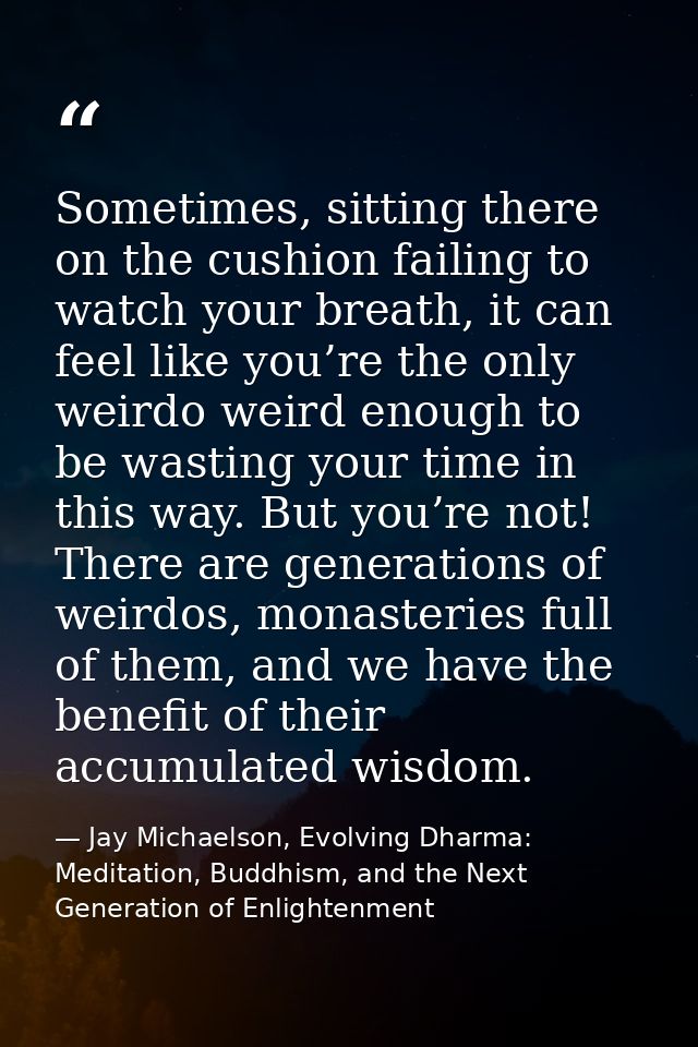 Sometimes, sitting there on the cushion failing to watch your breath, it can feel like you’re the only weirdo weird enou — Jay Michaelson, Evolving Dharma: Meditation, Buddhism, and the Next Generation of Enlightenment