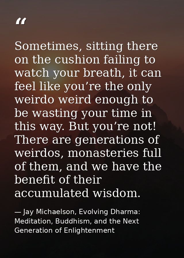 Sometimes, sitting there on the cushion failing to watch your breath, it can feel like you’re the only weirdo weird enou — Jay Michaelson, Evolving Dharma: Meditation, Buddhism, and the Next Generation of Enlightenment