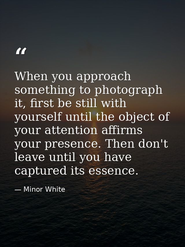 When you approach something to photograph it, first be still with yourself until the object of your attention affirms yo — Minor White