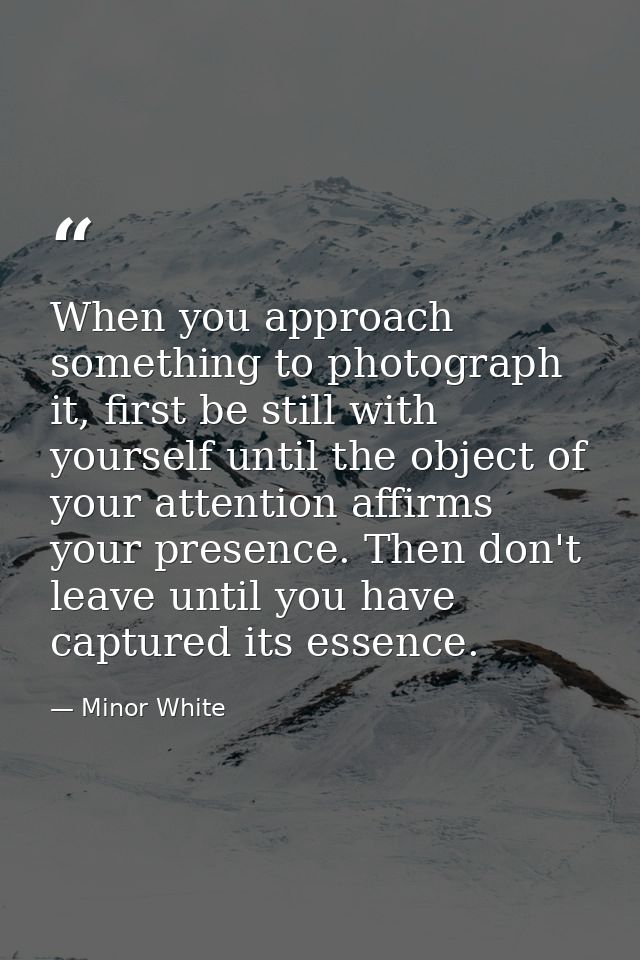 When you approach something to photograph it, first be still with yourself until the object of your attention affirms yo — Minor White