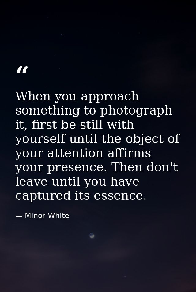 When you approach something to photograph it, first be still with yourself until the object of your attention affirms yo — Minor White