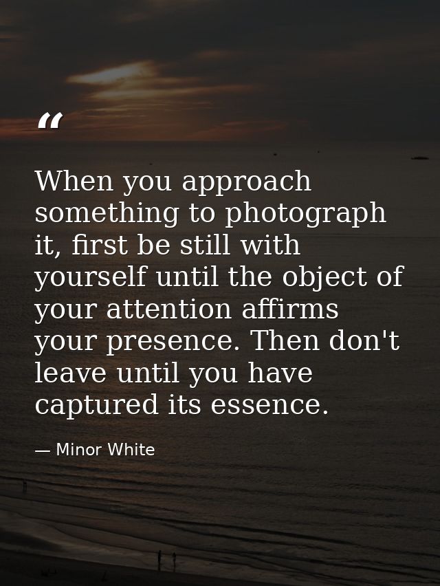 When you approach something to photograph it, first be still with yourself until the object of your attention affirms yo — Minor White