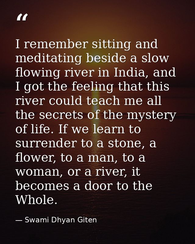 I remember sitting and meditating beside a slow flowing river in India, and I got the feeling that this river could teac — Swami Dhyan Giten