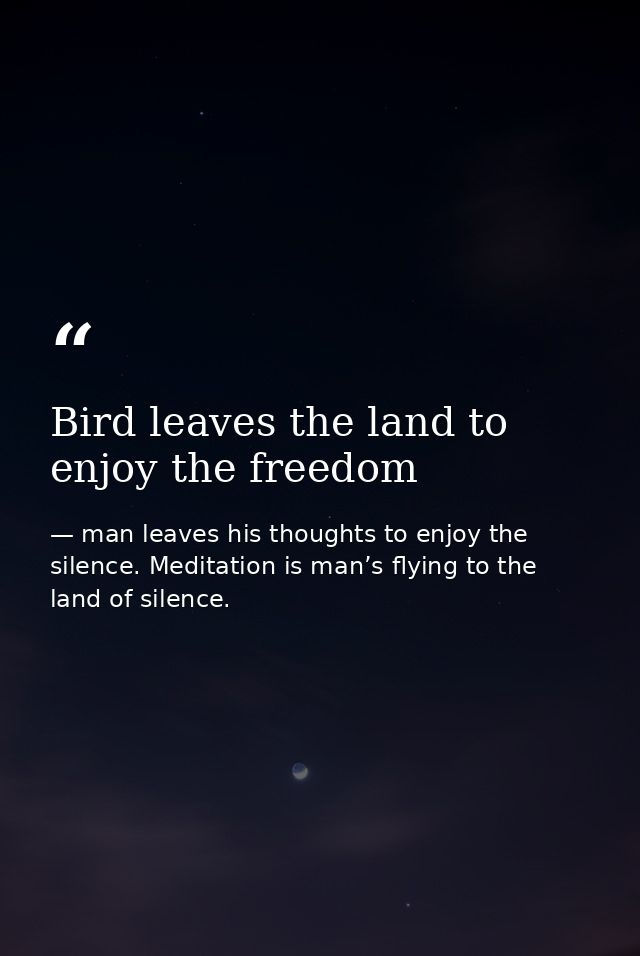 Bird leaves the land to enjoy the freedom — man leaves his thoughts to enjoy the silence. Meditation is man’s flying to the land of silence.
