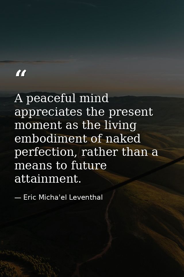 A peaceful mind appreciates the present moment as the living embodiment of naked perfection, rather than a means to futu — Eric Micha'el Leventhal