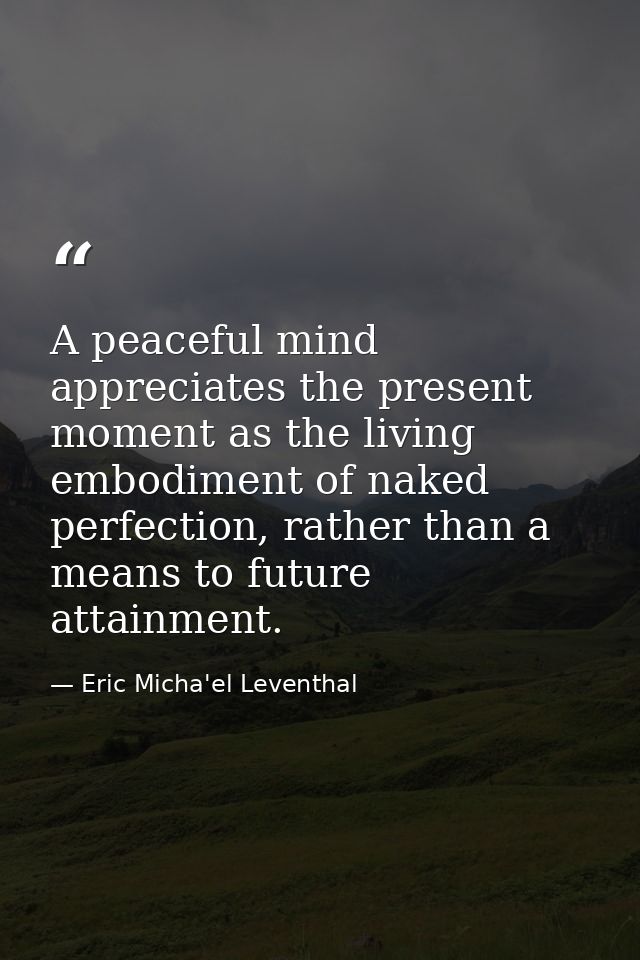 A peaceful mind appreciates the present moment as the living embodiment of naked perfection, rather than a means to futu — Eric Micha'el Leventhal