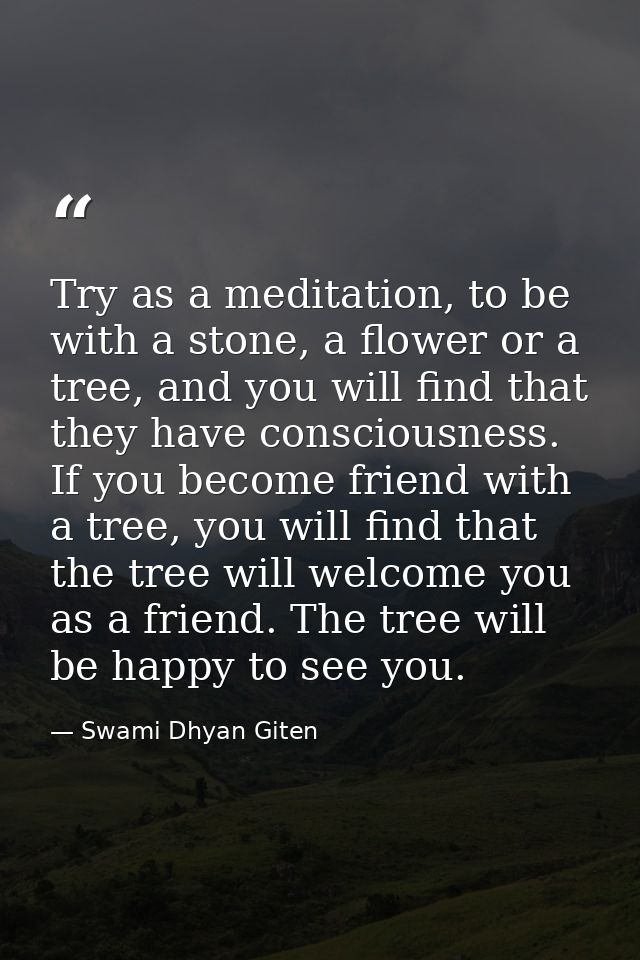 Try as a meditation, to be with a stone, a flower or a tree, and you will find that they have consciousness. If you beco — Swami Dhyan Giten
