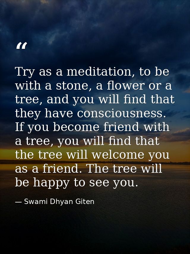Try as a meditation, to be with a stone, a flower or a tree, and you will find that they have consciousness. If you beco — Swami Dhyan Giten