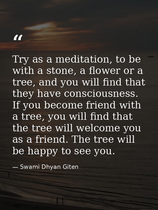 Try as a meditation, to be with a stone, a flower or a tree, and you will find that they have consciousness. If you beco — Swami Dhyan Giten
