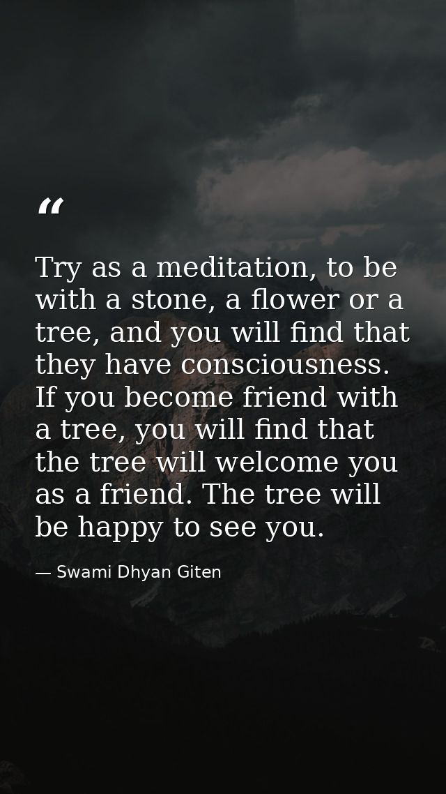 Try as a meditation, to be with a stone, a flower or a tree, and you will find that they have consciousness. If you beco — Swami Dhyan Giten