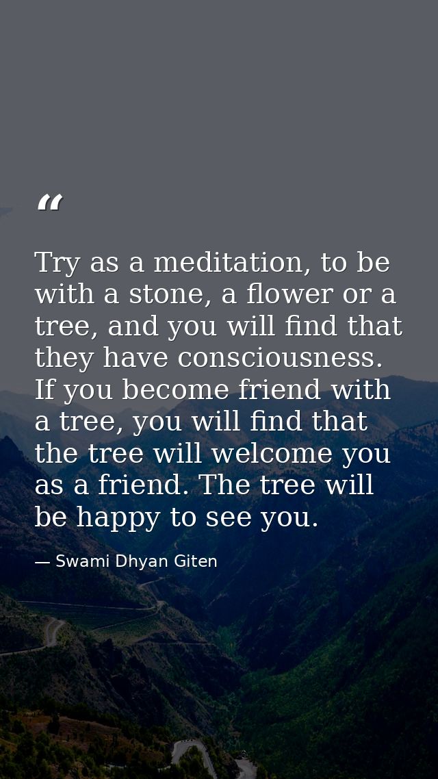 Try as a meditation, to be with a stone, a flower or a tree, and you will find that they have consciousness. If you beco — Swami Dhyan Giten