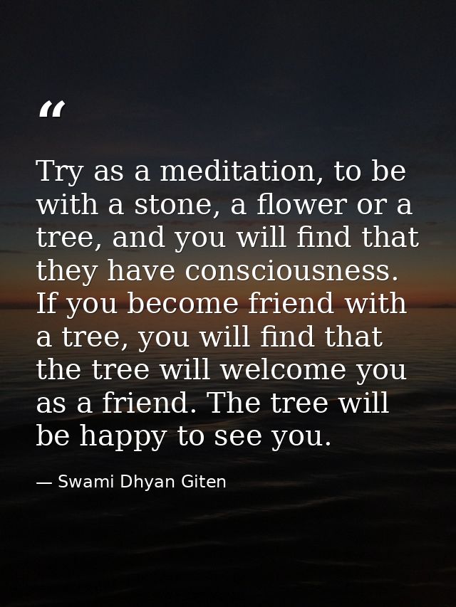 Try as a meditation, to be with a stone, a flower or a tree, and you will find that they have consciousness. If you beco — Swami Dhyan Giten