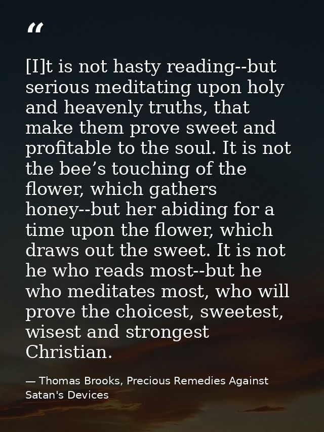 [I]t is not hasty reading--but serious meditating upon holy and heavenly truths, that make them prove sweet and profitab — Thomas Brooks, Precious Remedies Against Satan's Devices