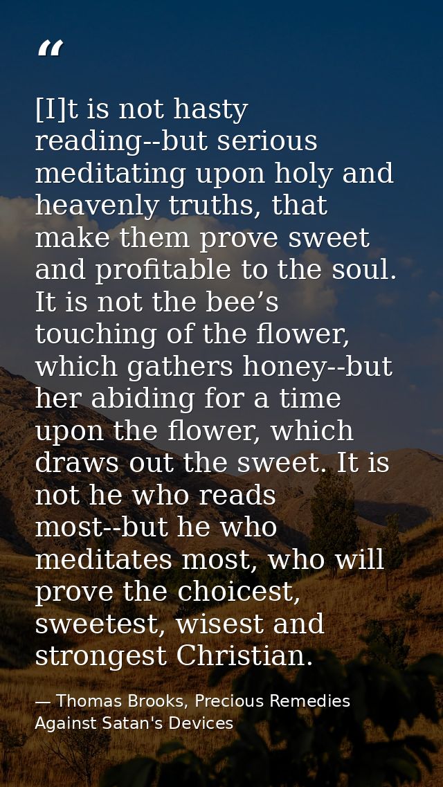 [I]t is not hasty reading--but serious meditating upon holy and heavenly truths, that make them prove sweet and profitab — Thomas Brooks, Precious Remedies Against Satan's Devices