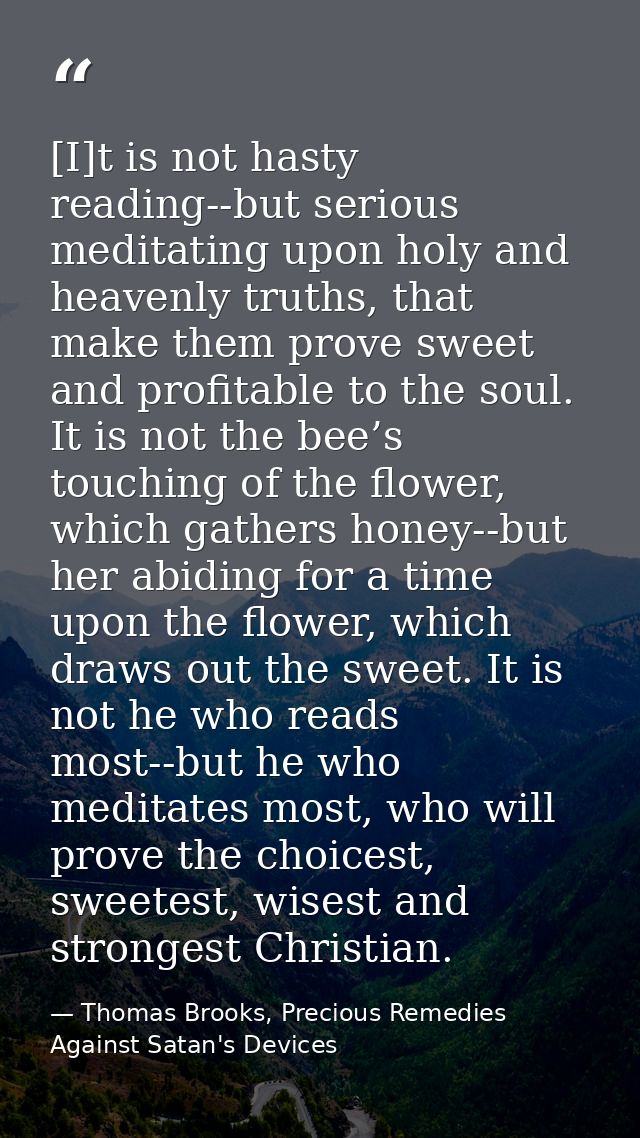 [I]t is not hasty reading--but serious meditating upon holy and heavenly truths, that make them prove sweet and profitab — Thomas Brooks, Precious Remedies Against Satan's Devices