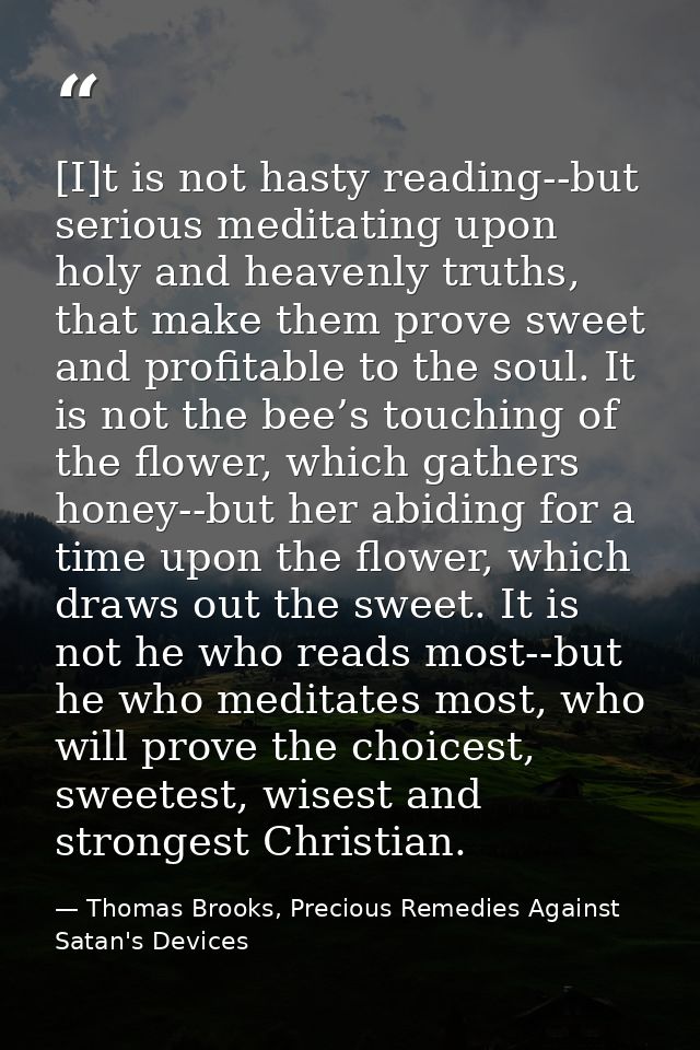 [I]t is not hasty reading--but serious meditating upon holy and heavenly truths, that make them prove sweet and profitab — Thomas Brooks, Precious Remedies Against Satan's Devices