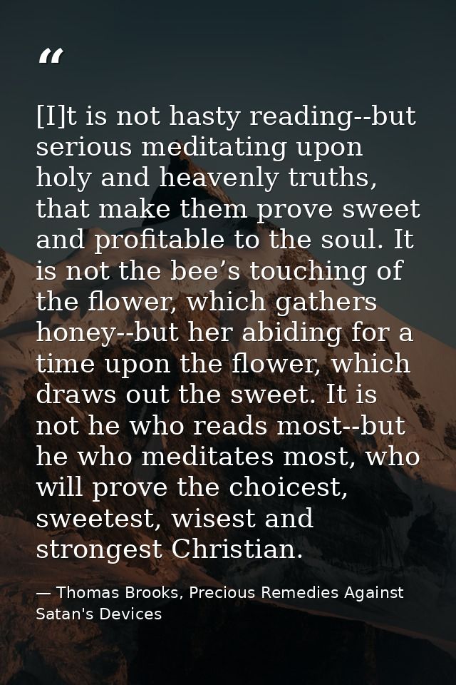 [I]t is not hasty reading--but serious meditating upon holy and heavenly truths, that make them prove sweet and profitab — Thomas Brooks, Precious Remedies Against Satan's Devices