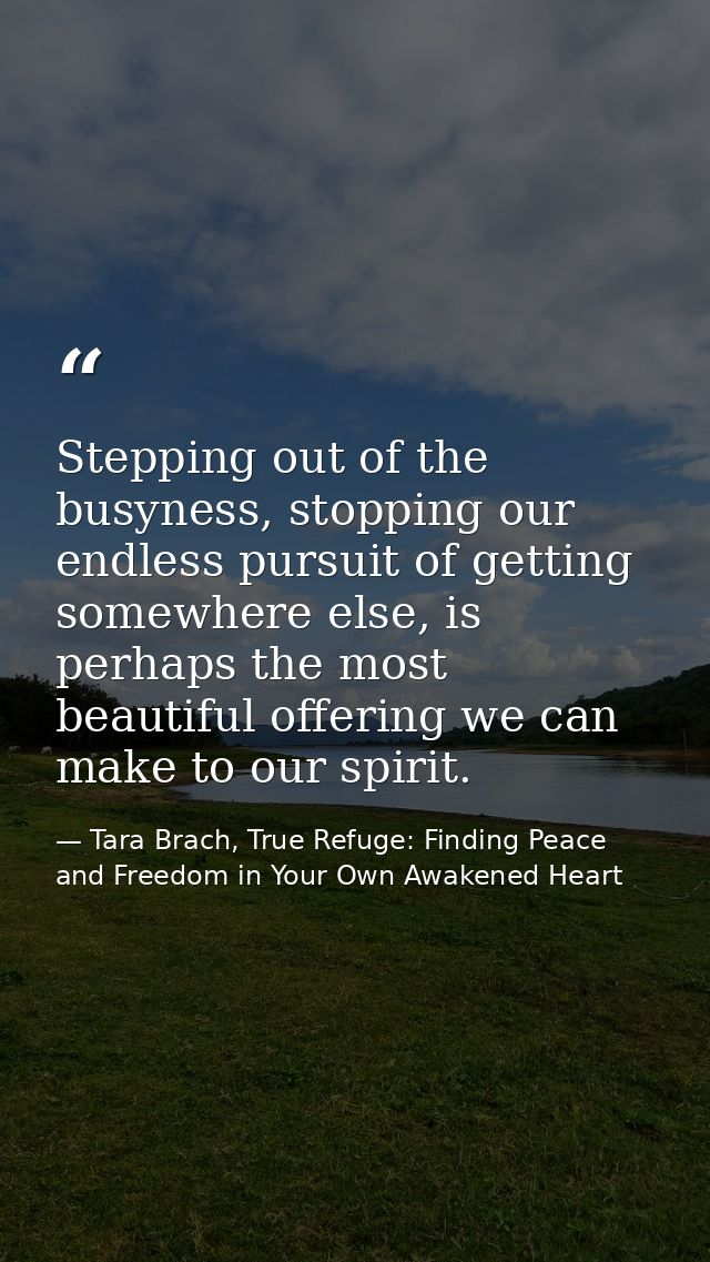 Stepping out of the busyness, stopping our endless pursuit of getting somewhere else, is perhaps the most beautiful offe — Tara Brach, True Refuge: Finding Peace and Freedom in Your Own Awakened Heart