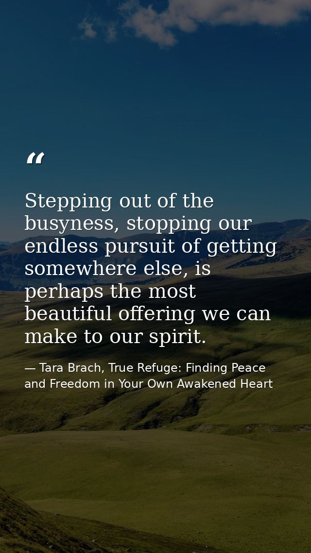 Stepping out of the busyness, stopping our endless pursuit of getting somewhere else, is perhaps the most beautiful offe — Tara Brach, True Refuge: Finding Peace and Freedom in Your Own Awakened Heart
