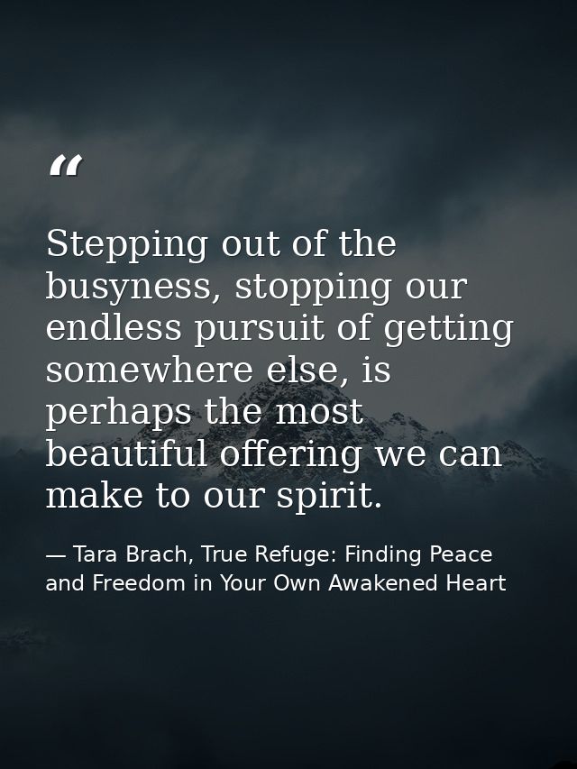 Stepping out of the busyness, stopping our endless pursuit of getting somewhere else, is perhaps the most beautiful offe — Tara Brach, True Refuge: Finding Peace and Freedom in Your Own Awakened Heart
