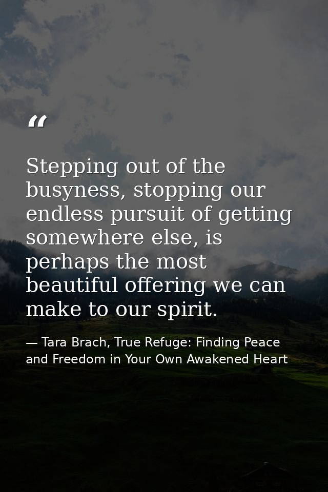 Stepping out of the busyness, stopping our endless pursuit of getting somewhere else, is perhaps the most beautiful offe — Tara Brach, True Refuge: Finding Peace and Freedom in Your Own Awakened Heart