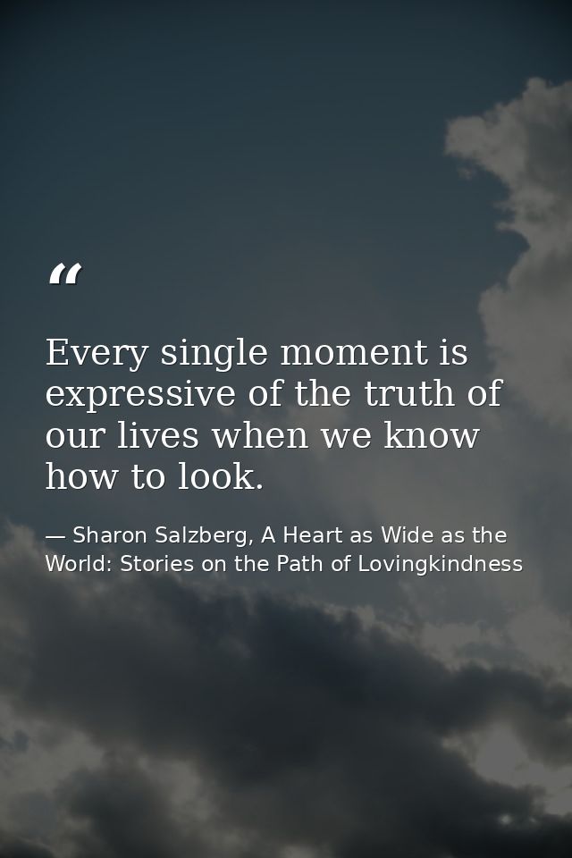 Every single moment is expressive of the truth of our lives when we know how to look. — Sharon Salzberg, A Heart as Wide as the World: Stories on the Path of Lovingkindness