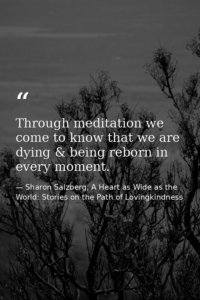 Through meditation we come to know that we are dying & being reborn in every moment. — Sharon Salzberg, A Heart as Wide as the World: Stories on the Path of Lovingkindness