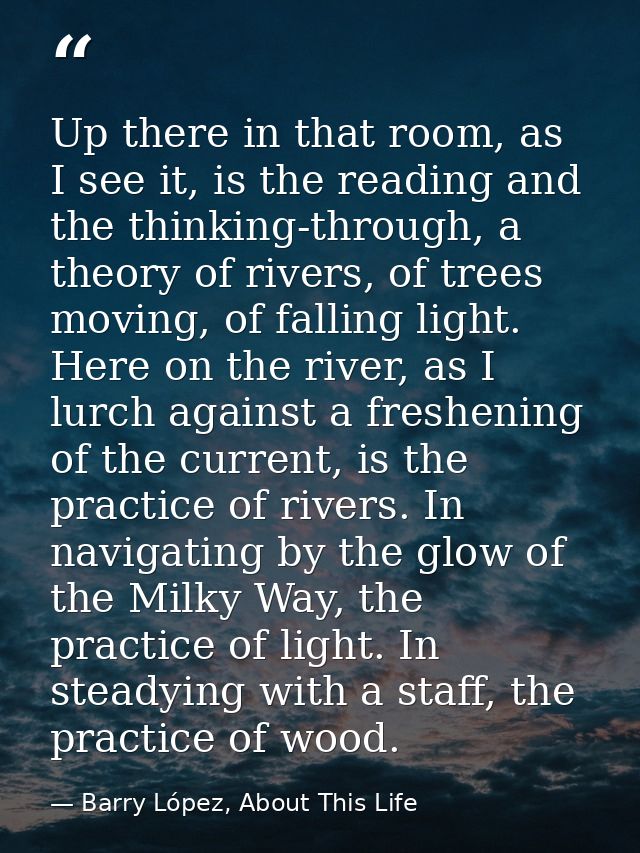 Up there in that room, as I see it, is the reading and the thinking-through, a theory of rivers, of trees moving, of fal — Barry López, About This Life