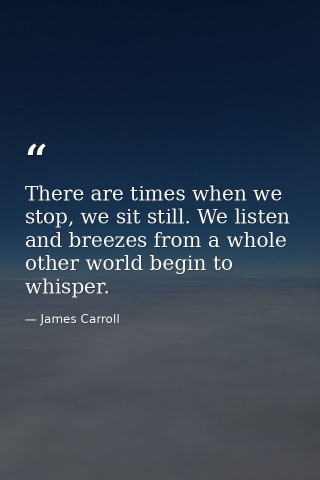 There are times when we stop, we sit still. We listen and breezes from a whole other world begin to whisper. — James Carroll