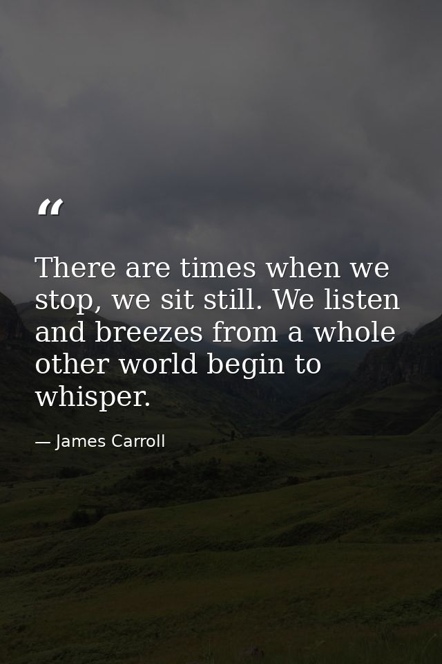 There are times when we stop, we sit still. We listen and breezes from a whole other world begin to whisper. — James Carroll